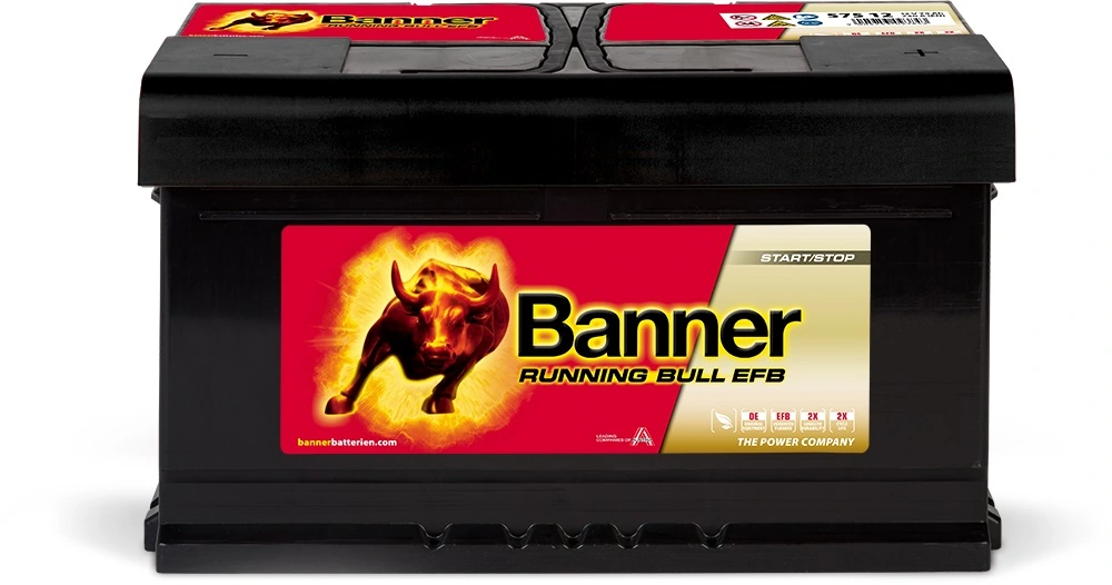 244100001R Renault (RVI) Bateria (akumulator)