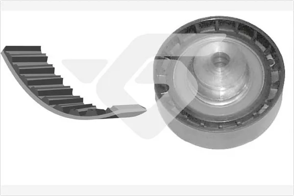 Pasek rozrządu, zestaw do Ford Connect TOURNEO PU2