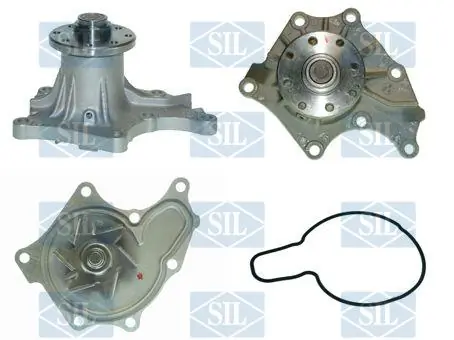 PA806 SIL