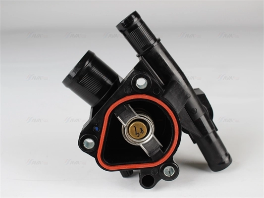 DNTS003 AVA