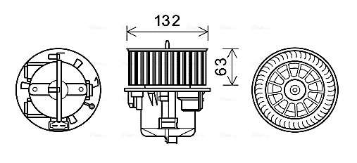 VO8179 AVA