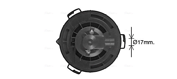 MZ8297 AVA