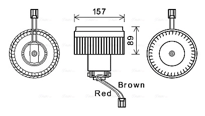 VO8176 AVA