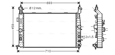 OLA2431 AVA