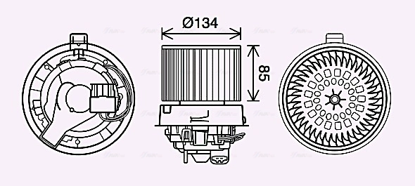 RT8635 AVA