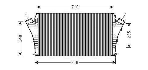 OLA4491 AVA
