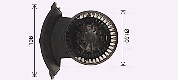 VN8411 AVA