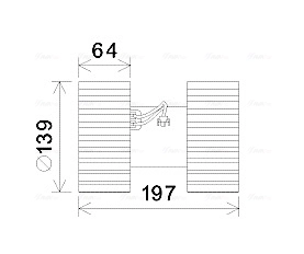 BW8480 AVA