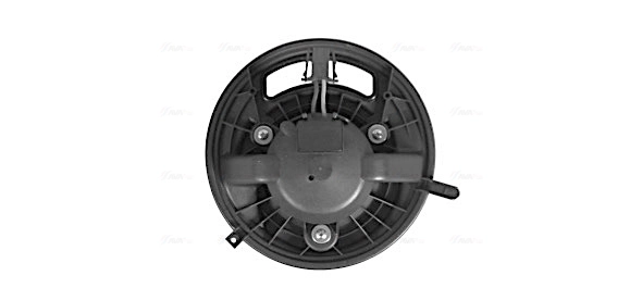 BW8454 AVA