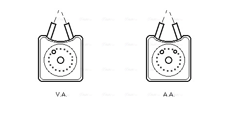 VN3147 AVA