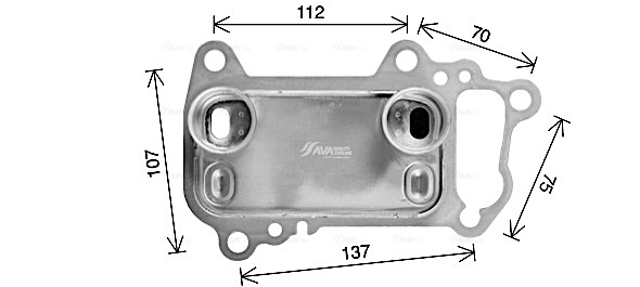 BW3622 AVA