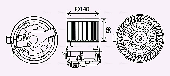 PE8558 AVA