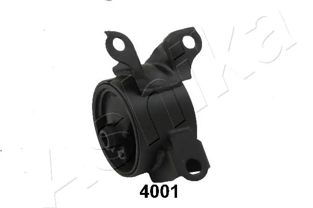 GOM4001 Ashika