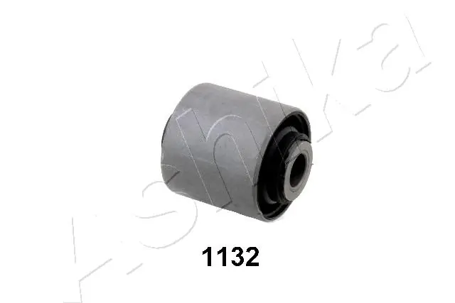 GOM1132 Ashika