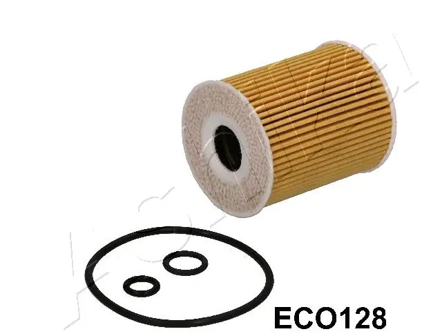 10ECO128 Ashika