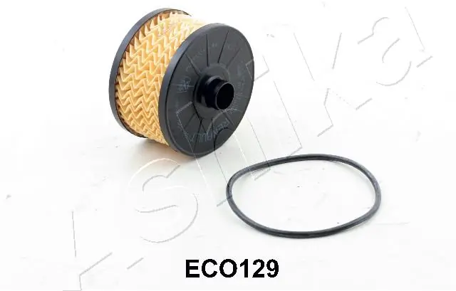 10ECO129 Ashika