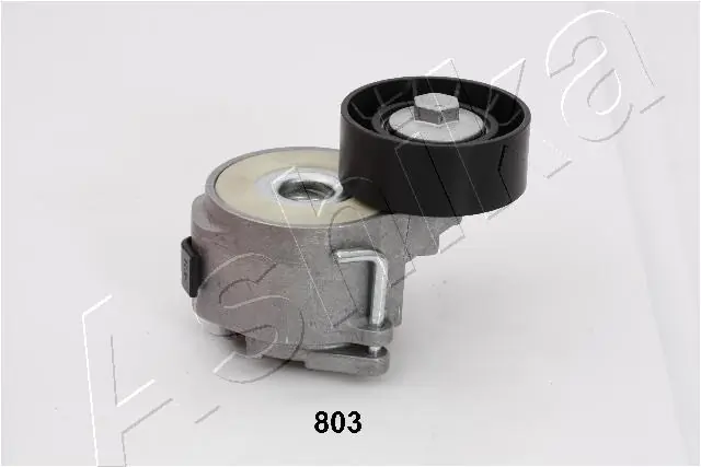 Do koszyka 6340557 General Motors Napinacz paska napędowego