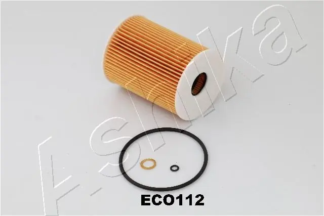 10ECO112 Ashika