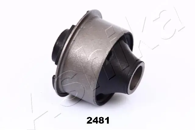 GOM2481 Ashika