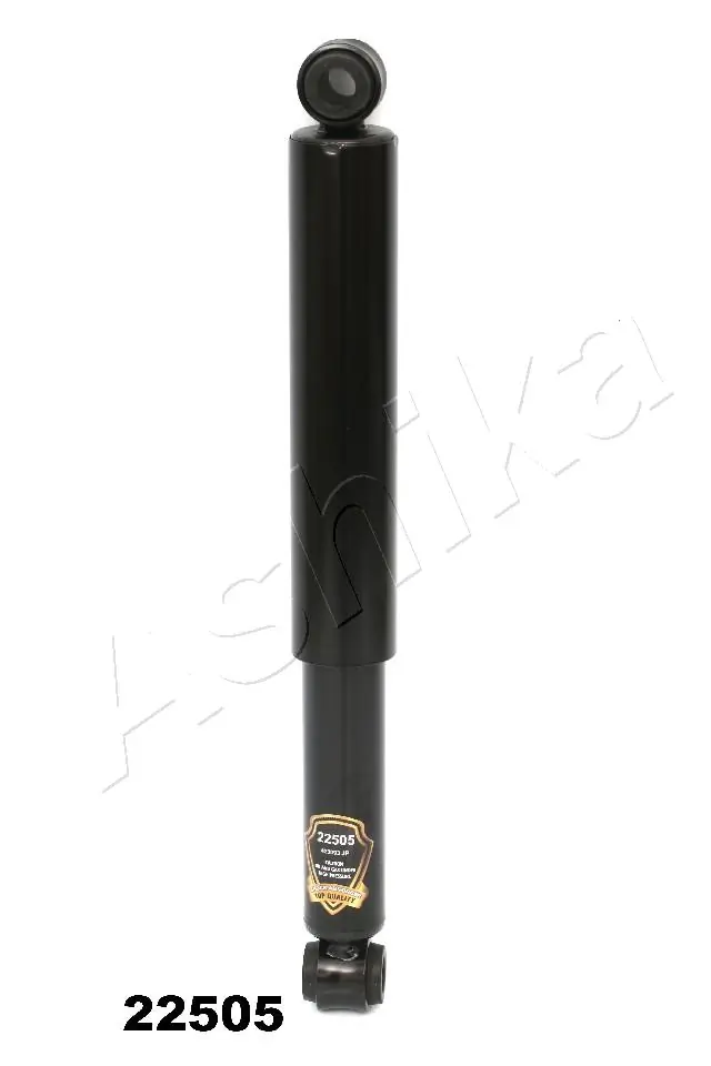 MA22505 Ashika