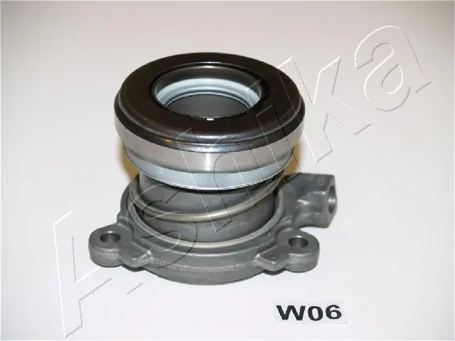 900WW06 Ashika
