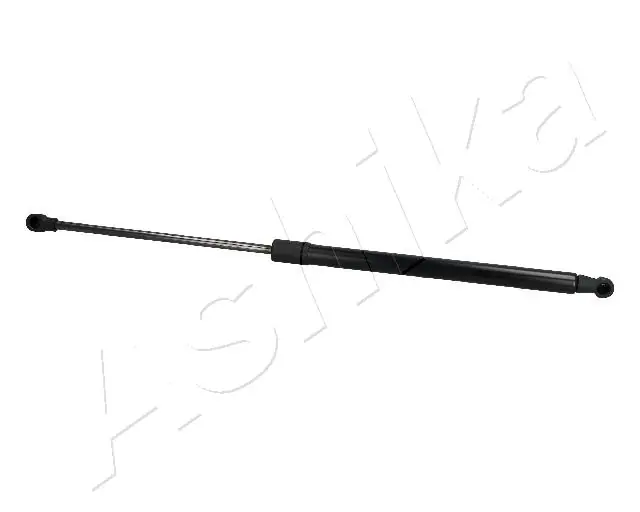 ZSA10020 Ashika