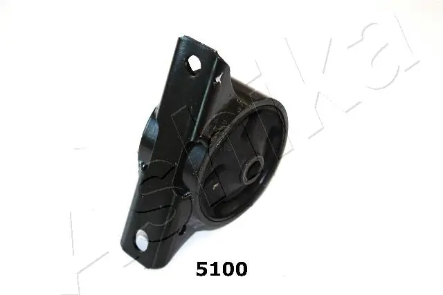 GOM5100 Ashika