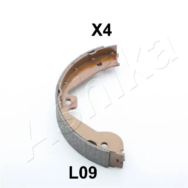 550LL09 Ashika