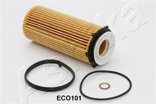 10ECO101 Ashika