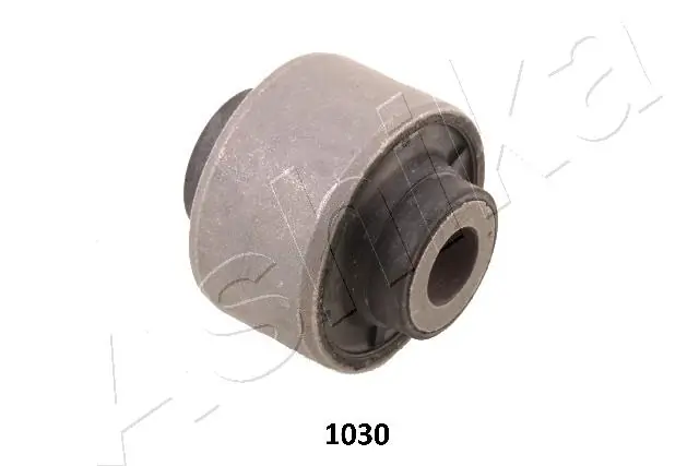 GOM1030 Ashika