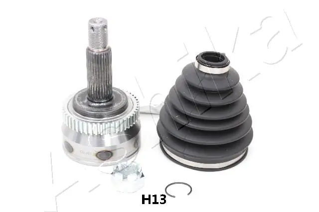 620HH13 Ashika