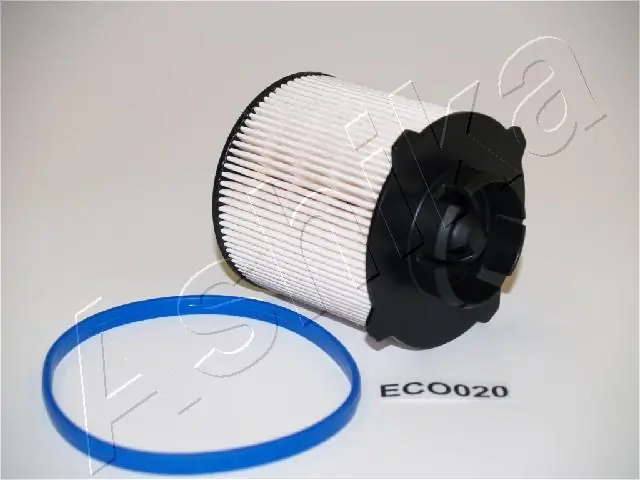 30ECO020 Ashika