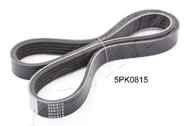 1125PK815 Ashika
