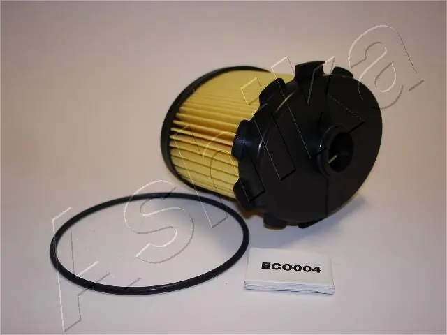 30ECO004 Ashika