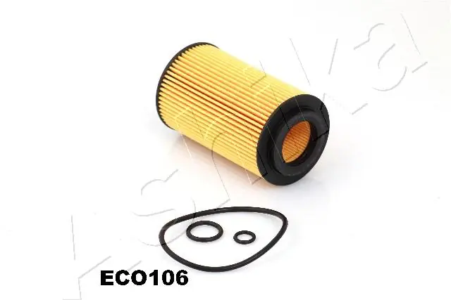 10ECO106 Ashika