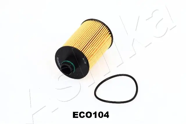 10ECO104 Ashika