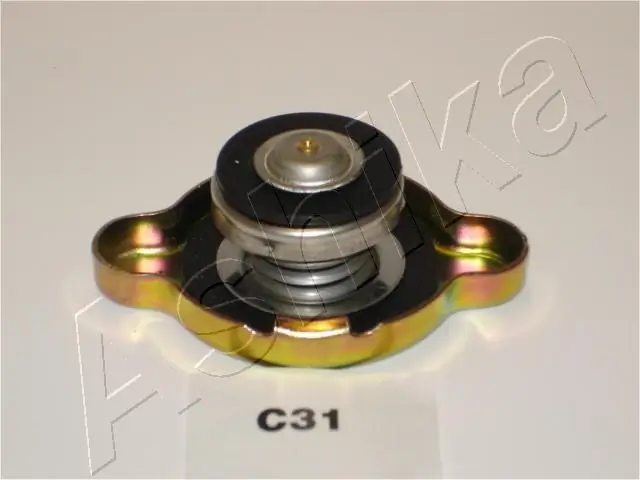 330CC31 Ashika