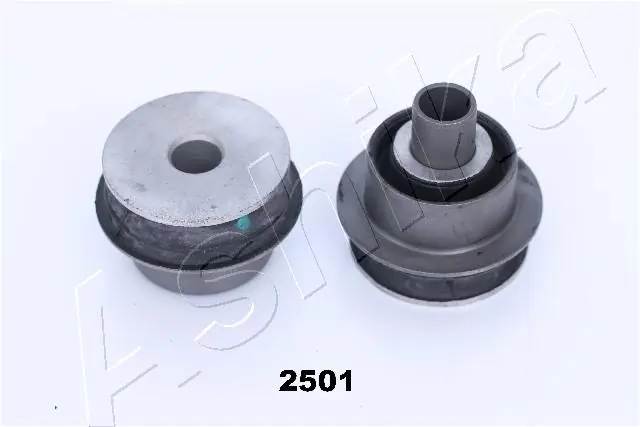 GOM2501 Ashika