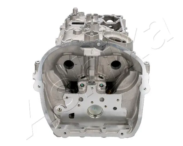 Głowica cylindrów Volkswagen Tiguan 2 AD1, AX1, BT1, BT2