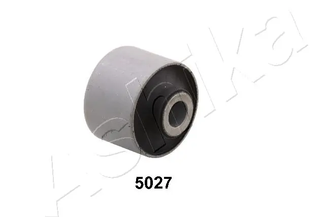 GOM5027 Ashika