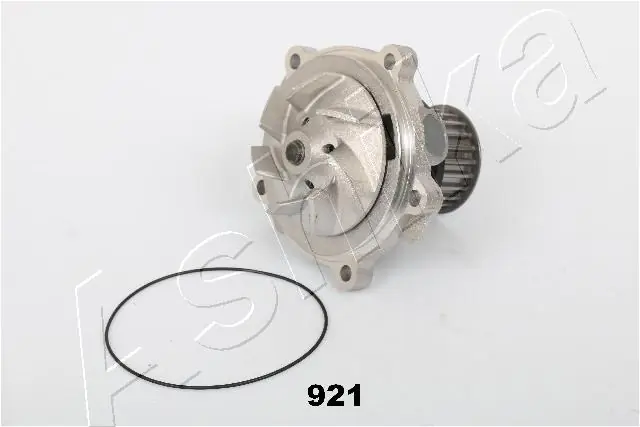 Pompa chłodząca wodna Chrysler Voyager III minivan (RG, RS) (1999 - 2008) cena, od 69,93 USD