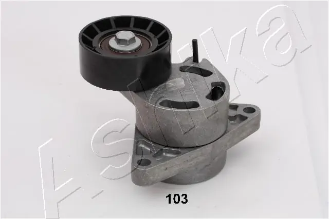 Do koszyka 4433884 General Motors Napinacz paska napędowego