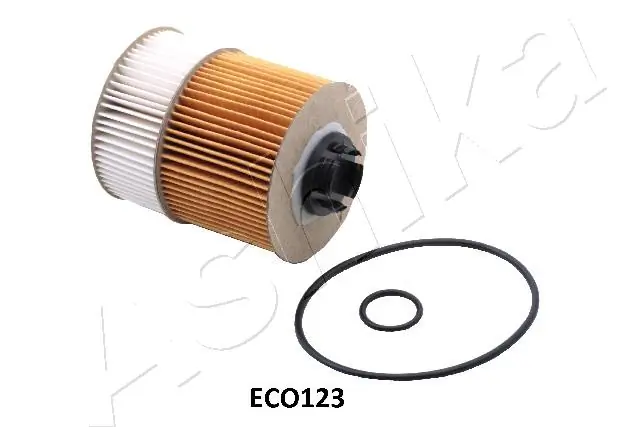 10ECO123 Ashika