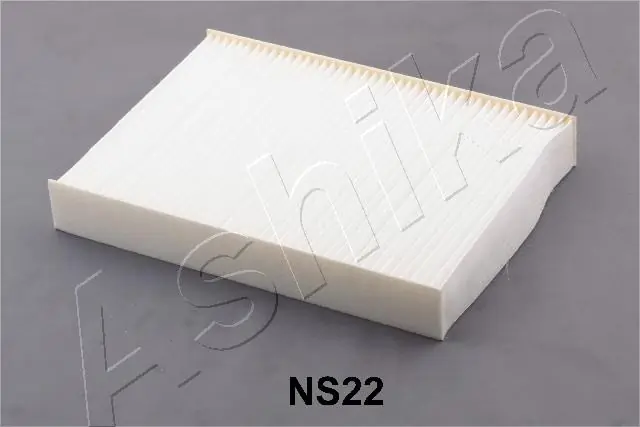 21NSNS22 Ashika