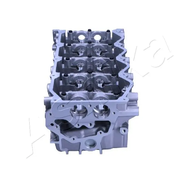Głowica cylindrów NS015S Ashika