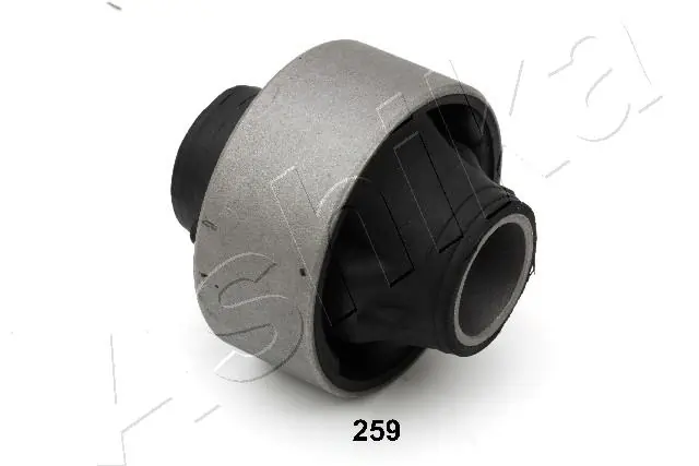 GOM259 Ashika