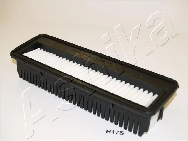 200HH17 Ashika