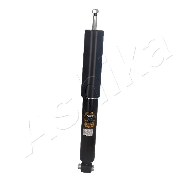 MA00300 Ashika