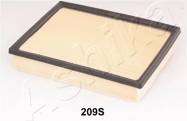 2002209 Ashika