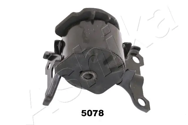 GOM5078 Ashika
